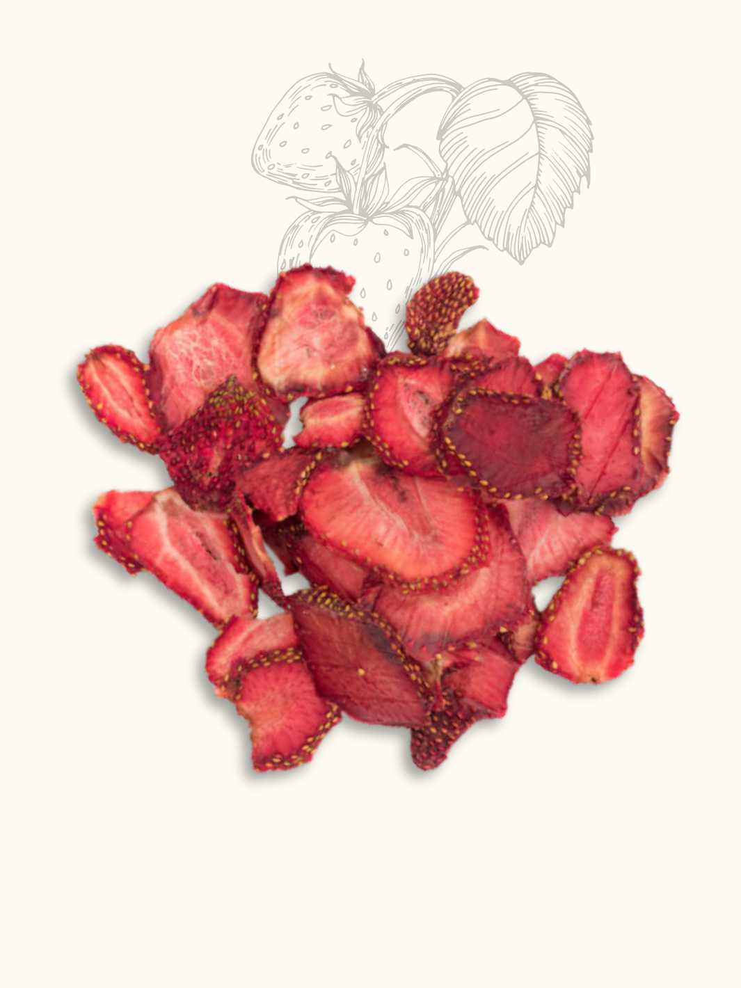 Truffe Délice - Wholesale Pet treats – Dog - Strawberry treats2