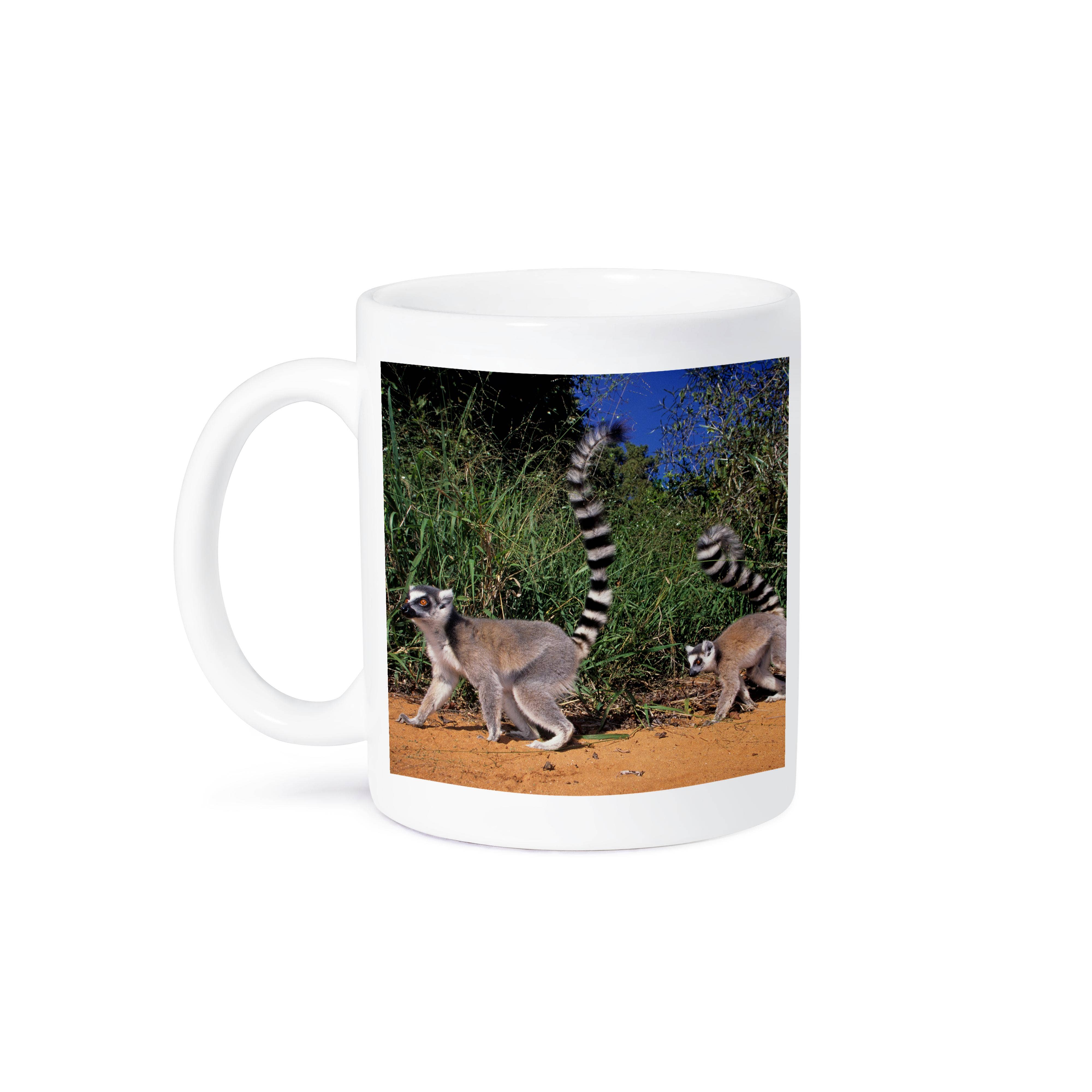 3dRose – Caneca por atacado – 3dRose, Lémures de cauda anelada, Lemur catta, Berenty, Toliara, Madagáscar., Caneca8