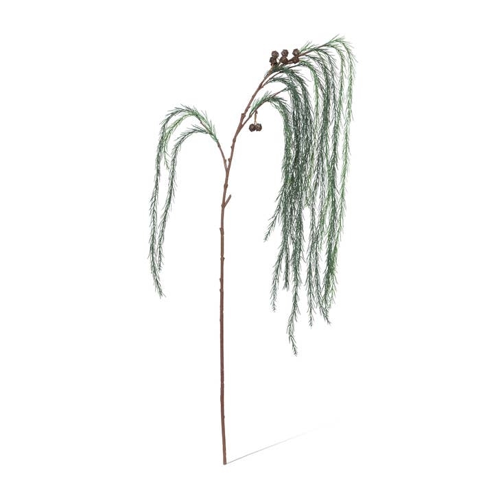 Pulvérisation de pin blanc pleureur pour la vente par Park Hill Collection