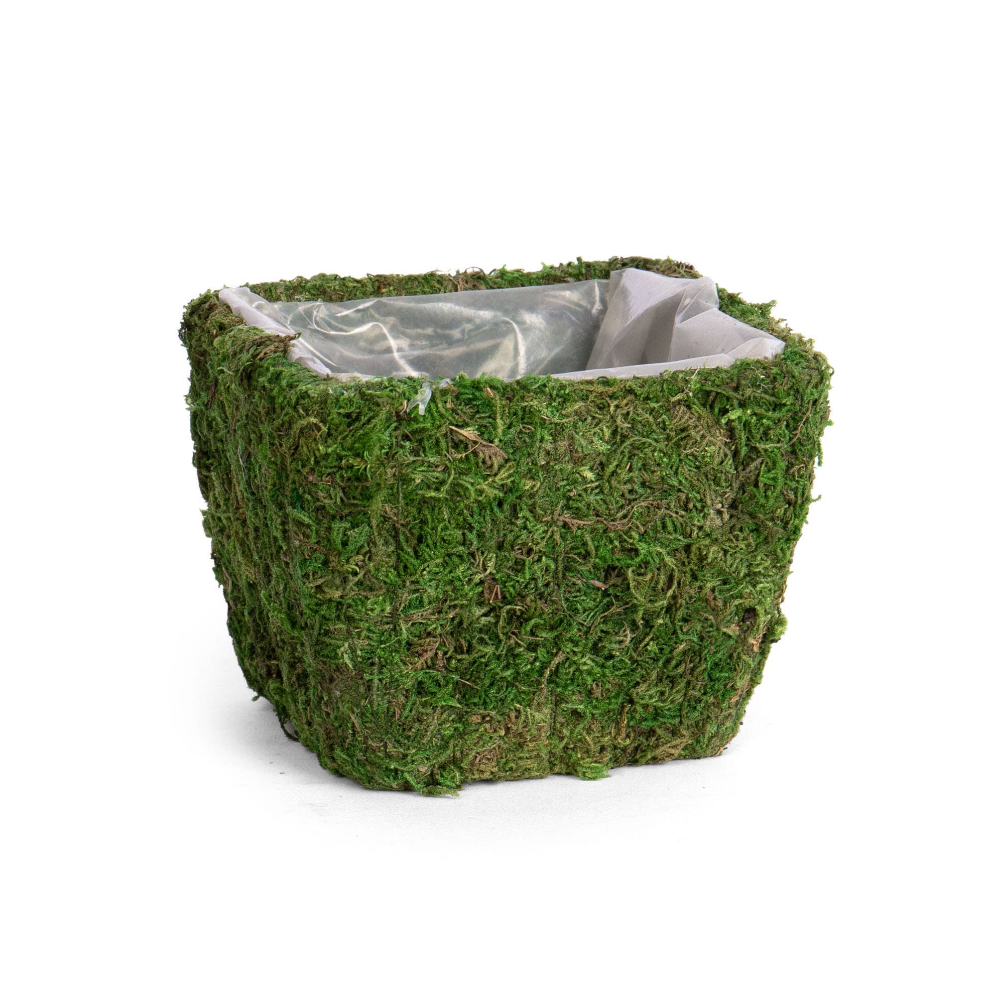Willow Group - Wholesale Plant Pot - SQ MOSS TAPERED PLANTER SEWN LINER