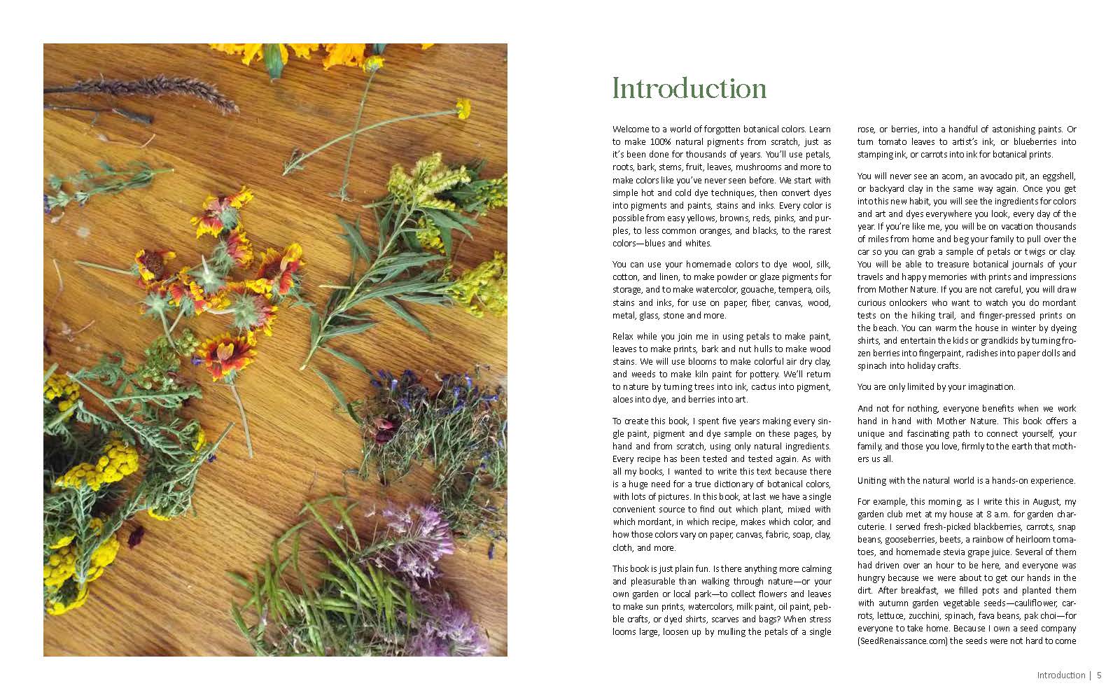 Familius, LLC - Wholesale Crafts, Hobbies & DIY - 1000 Botanical Colors1