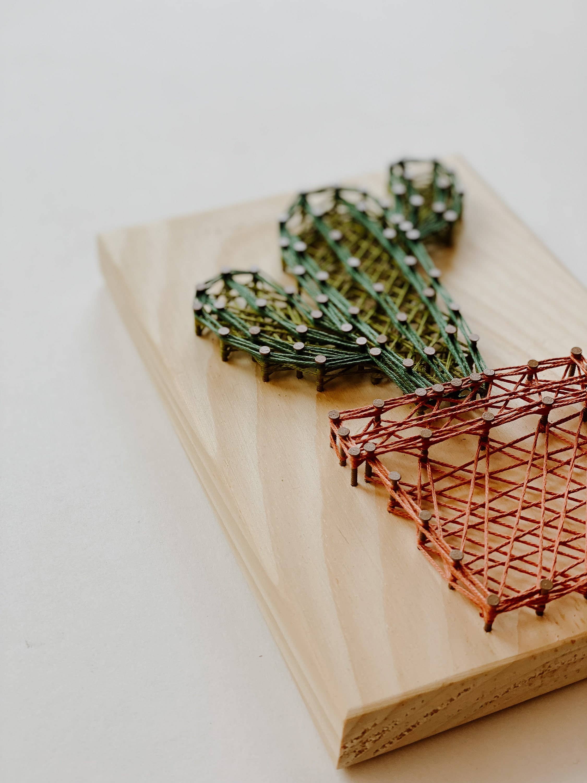 Knot Really Art - Wholesale DIY Craft Kit - Cactus DIY String Art Kit2