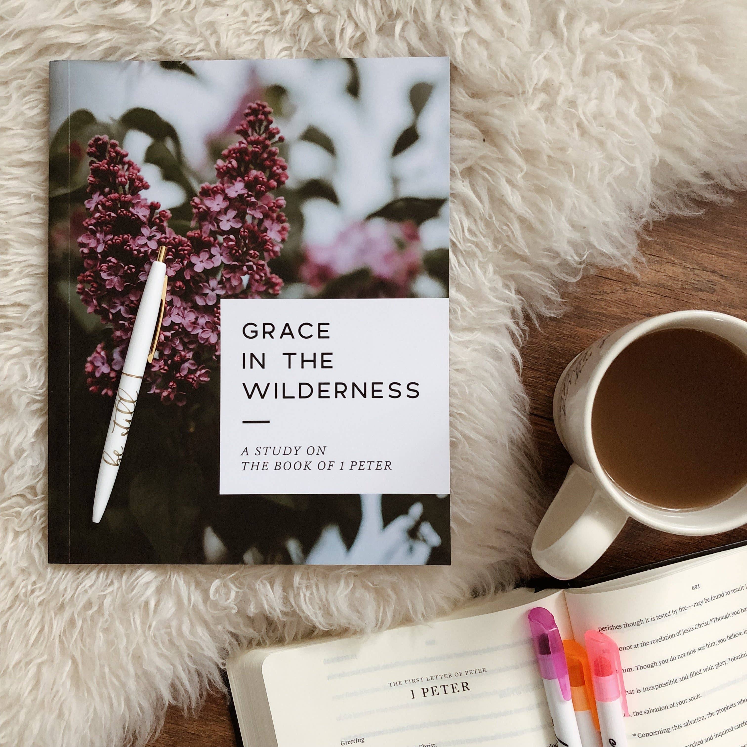 The Daily Grace Co - Wholesale Religion - Grace in the Wilderness | Study on 1 Peter11