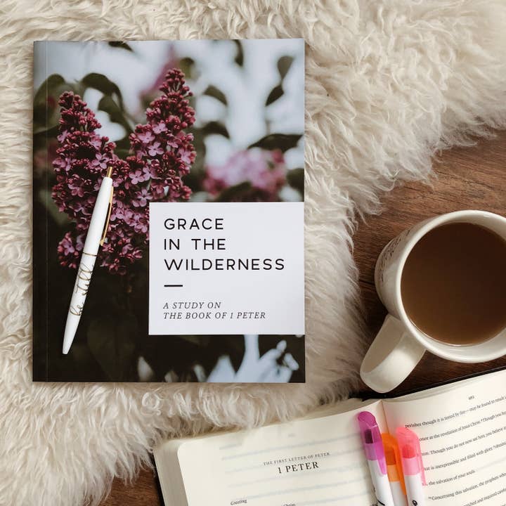 The Daily Grace Co - Wholesale Religion - Grace in the Wilderness | Study on 1 Peter11