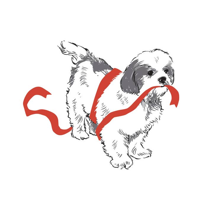 RAN-22 Shih Tzu and Red Ribbon Magnet for wholesale by Rigel Paper