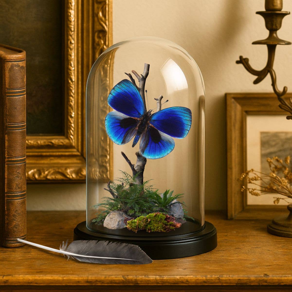 Instar Innovations - Vente Décorations de table - Diorama en forme de papillon - Diorama en forme de dôme de 6 x 4 pouces - 21