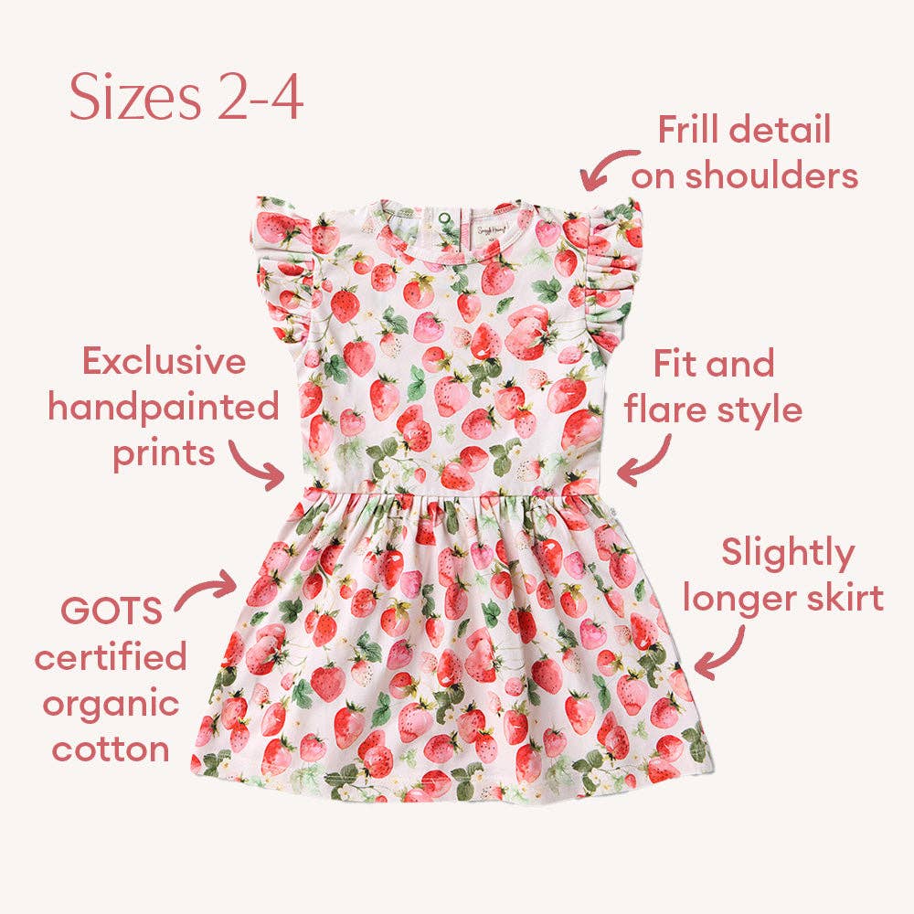 Snuggle Hunny - Wholesale Dress – Baby - Strawberry Short Sleeve Organic Dress4