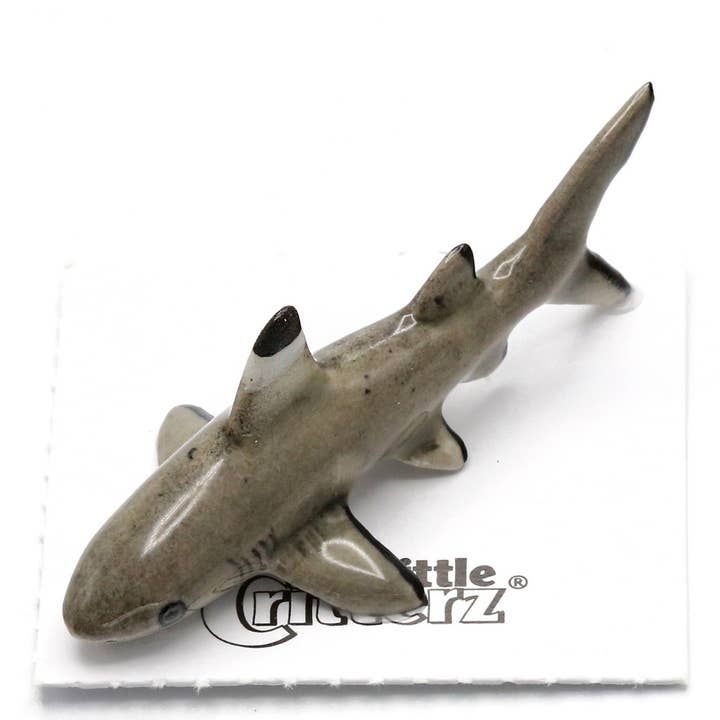 Guardian Black Tip Shark Miniature for wholesale by Little Critterz