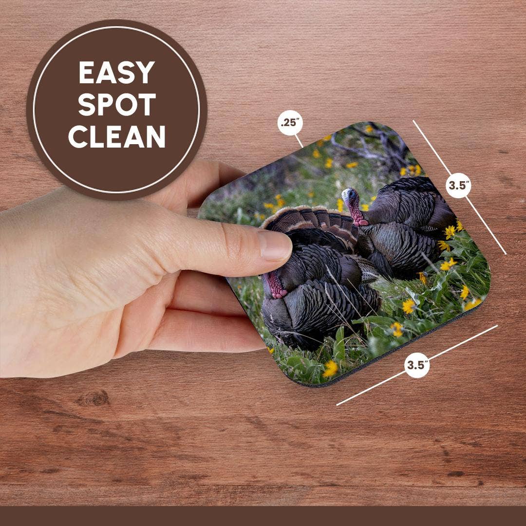 3dRose - Wholesale Coasters - 3dRose, Tom turkeys in breeding plumage in Great Basin NP, Nevada, USA, Coaster13
