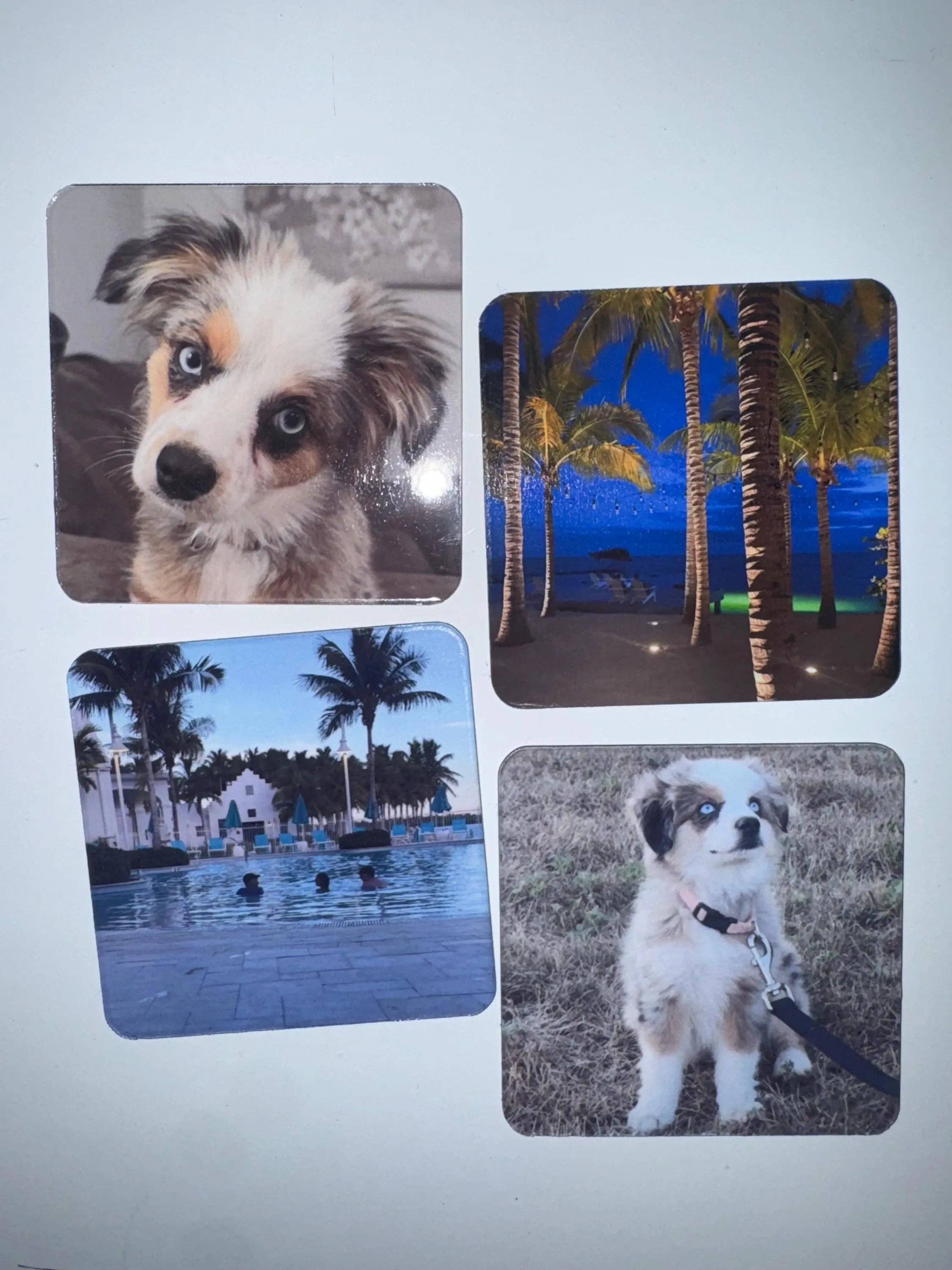 ASAP Craft Supplies - Wholesale Magnet - Custom Photo Magnets – Personalized Picture Magnets | Fridge Magnets with Your Photos | Gift for Family, Wedding Favors, Pet Magnet0