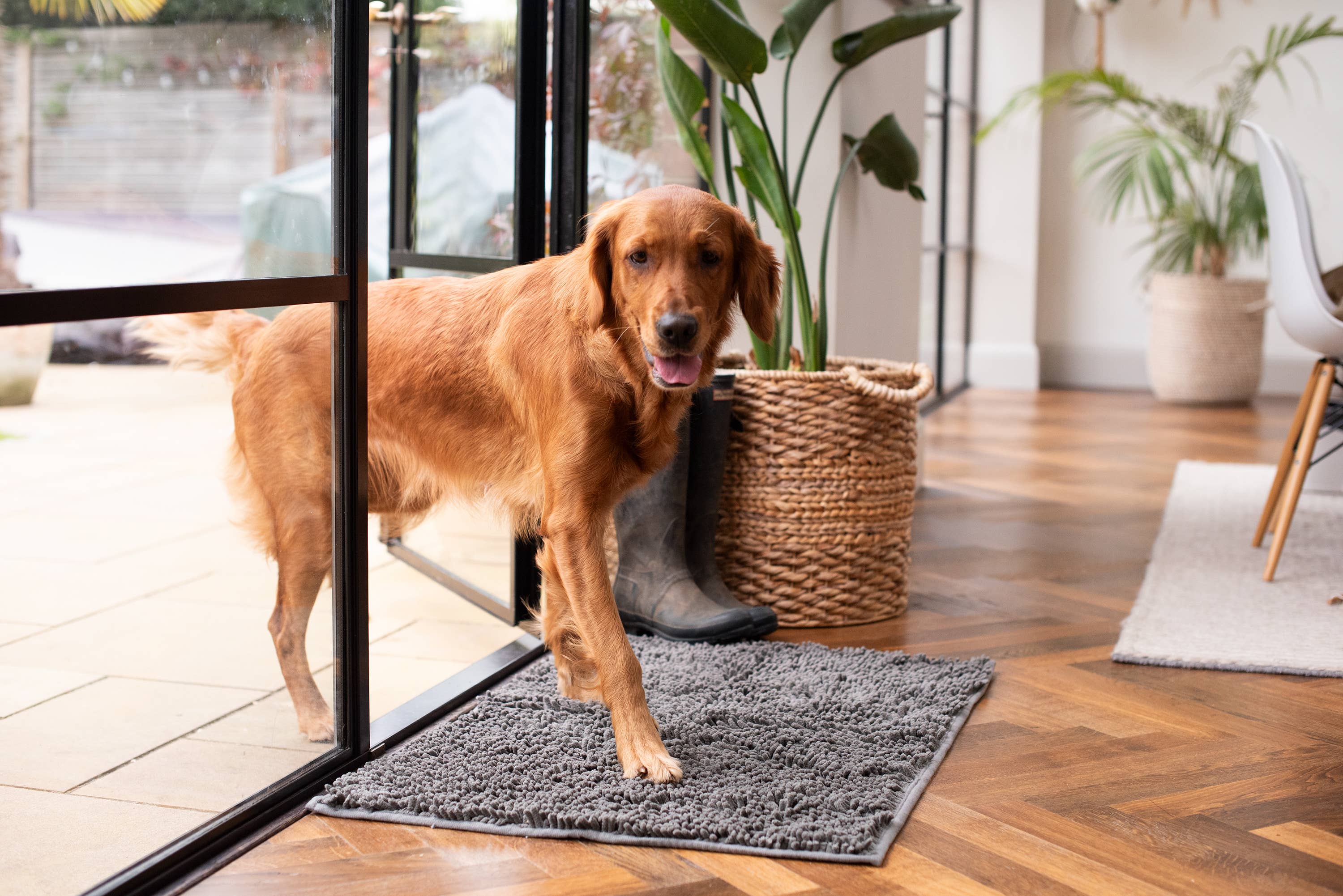 Pet Wiz - Wholesale Pet Mat - Dog - Plush Microfibre Noodle Mat1