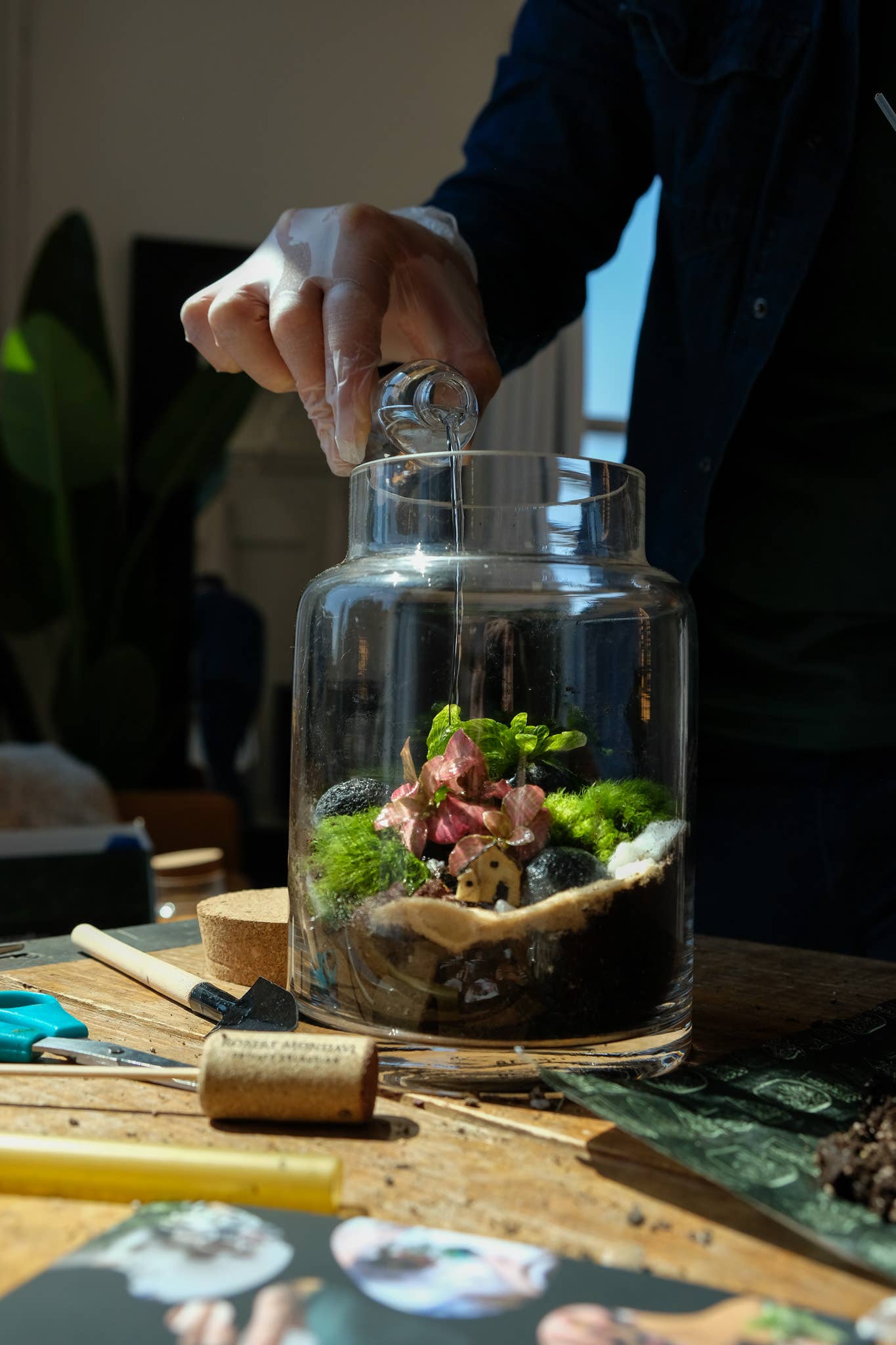 TERRART NYC - Wholesale DIY Craft Kit - DIY Terrarium Kit4