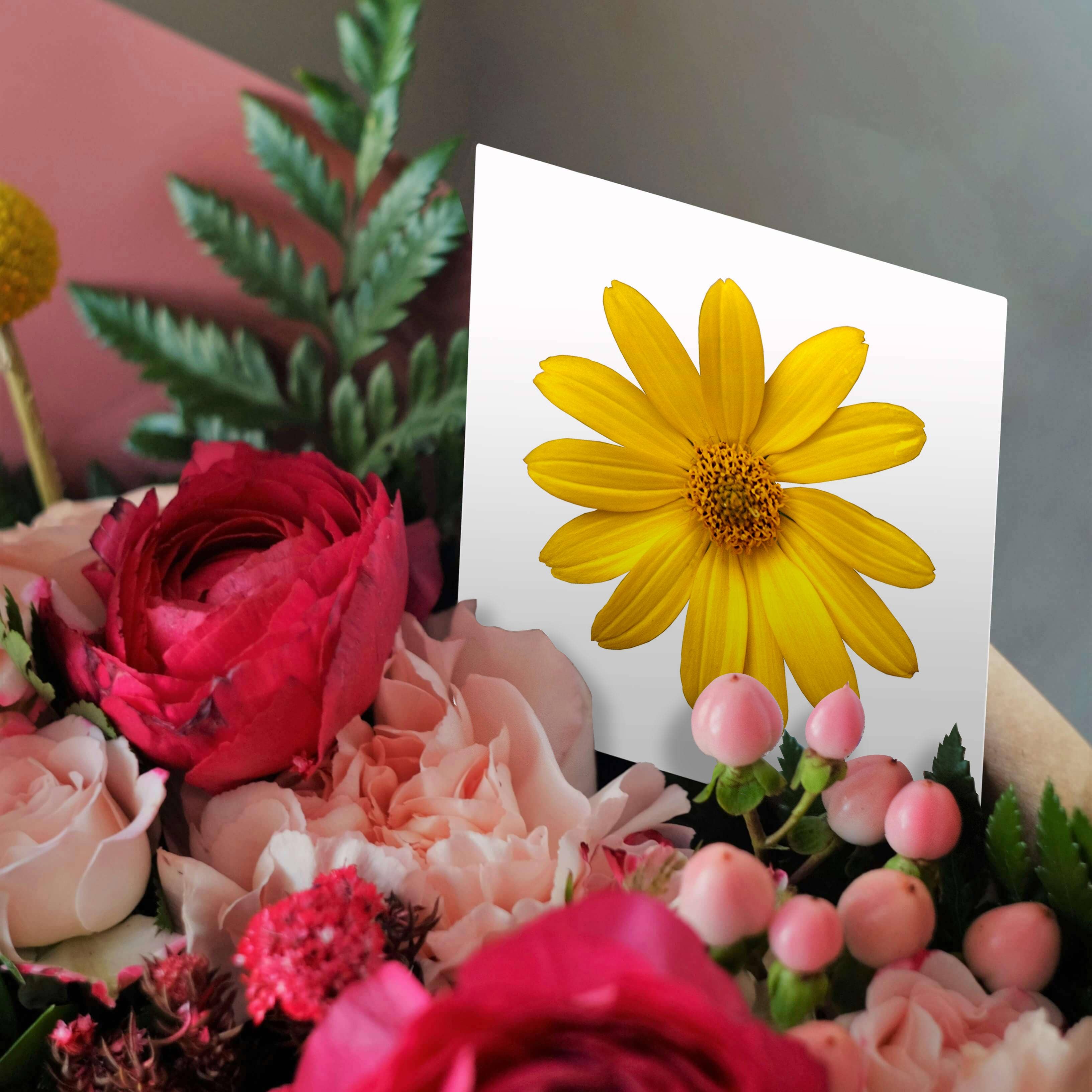 3dRose – wholesale Everyday greeting card – 3dRose, Yellow Daisy Petals Pretty Summer Floral Photo, Greeting Card2