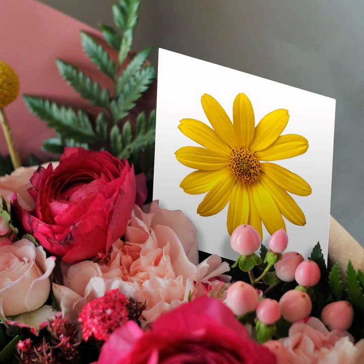 3dRose – wholesale Everyday greeting card – 3dRose, Yellow Daisy Petals Pretty Summer Floral Photo, Greeting Card2