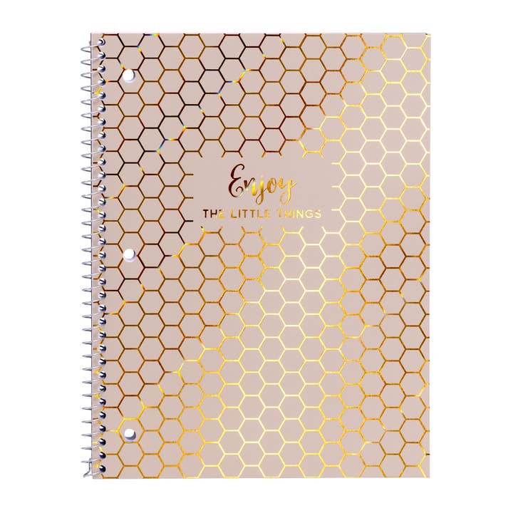 Pukka Pads North America - Wholesale Notebook - Haze 1-Subject College Ruled Notebook in 3 hot foil designs