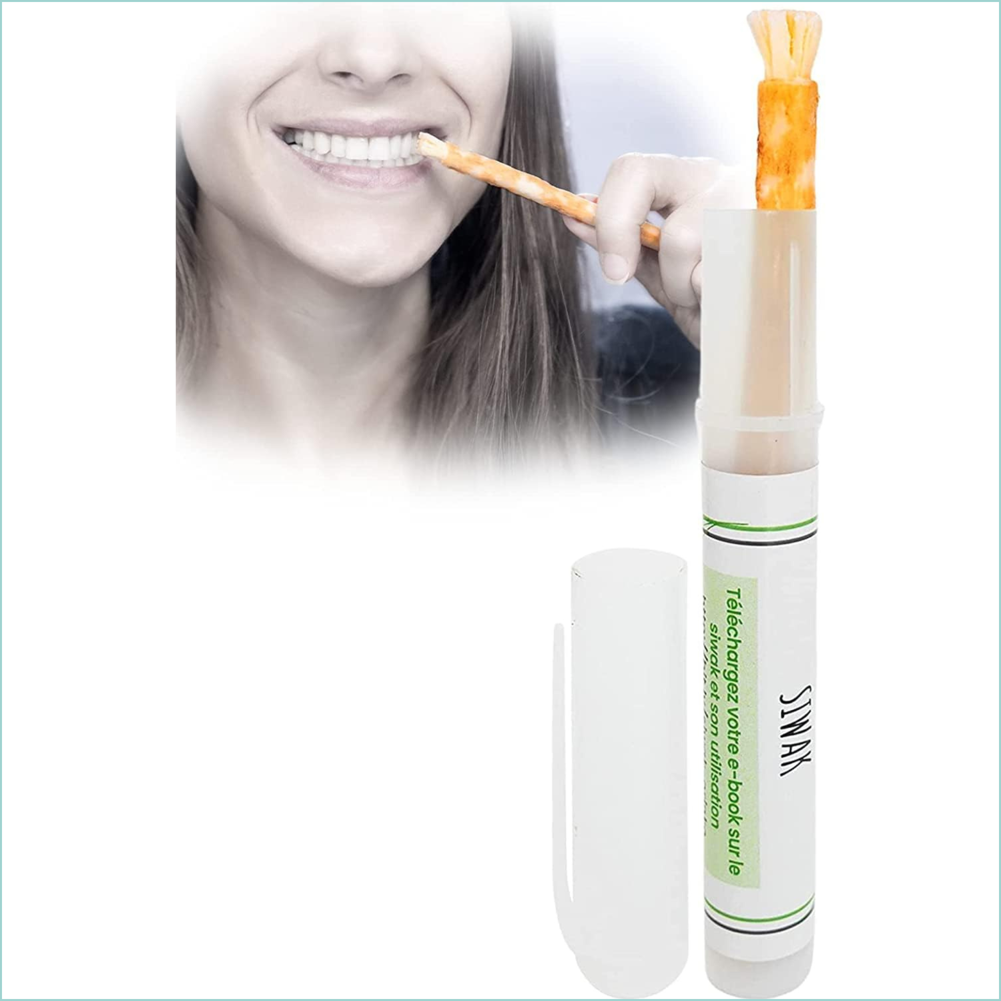 Orinko – Großhandel Zahnpasta – Siwak-Zahnbürstenstab mit Schutzgehäuse – 1 Stück0