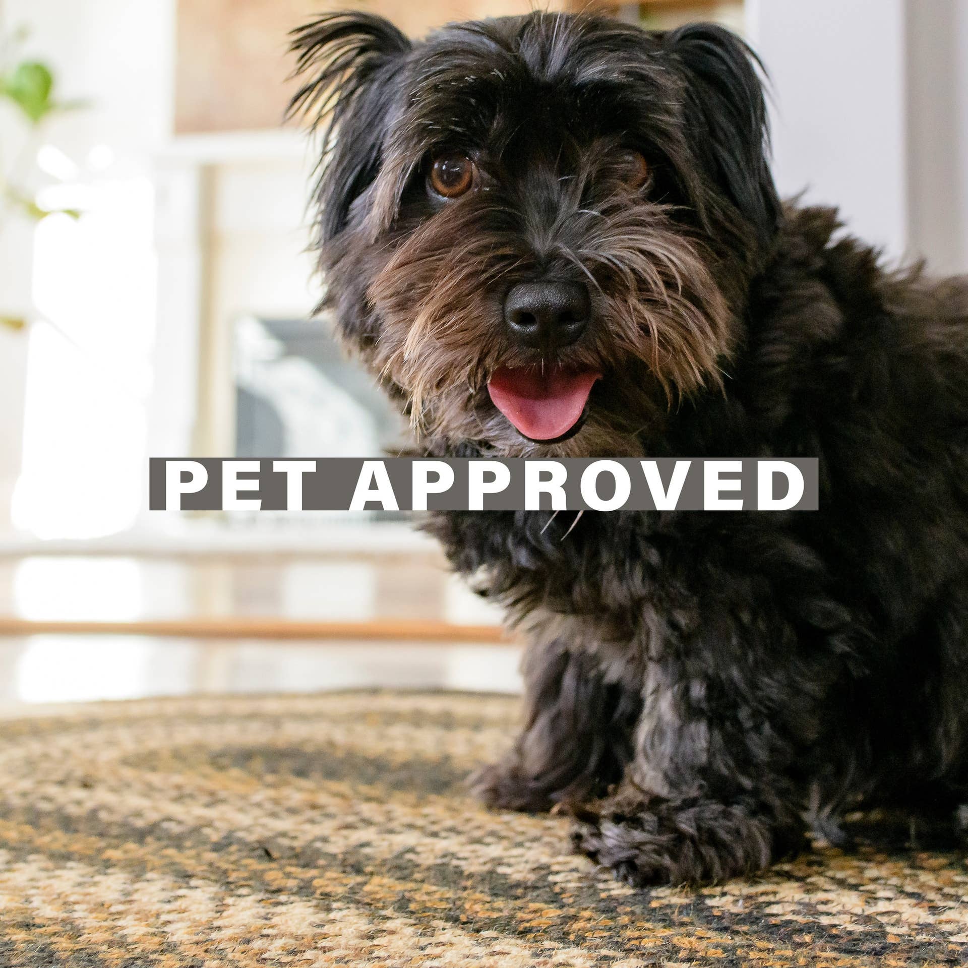 Homespice Decor – wholesale Area rug – Kilimanjaro Non-Shedding Jute Braided Rugs, Black and Tan2