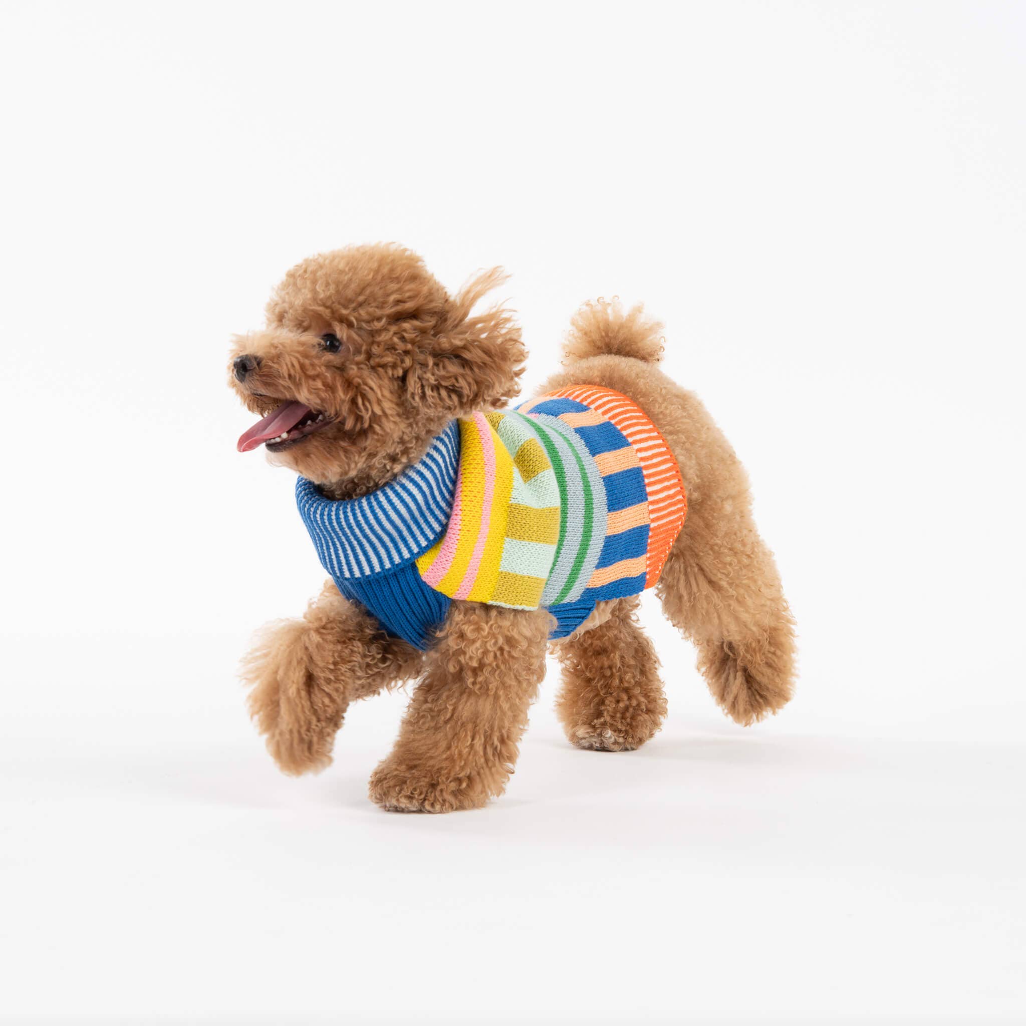 VERLOOP | knits - Wholesale Pet Sweater - Dog - Patchwork Stripe Dog Sweater9
