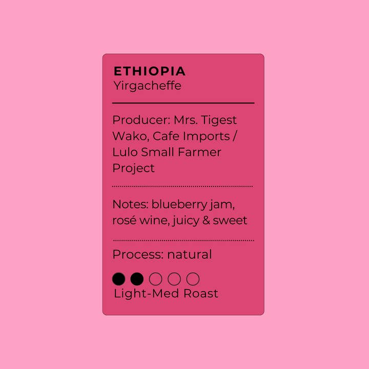 Sightseer Coffee Roasters - Wholesale Coffee Beans - Space Cowboy - Ethiopia1
