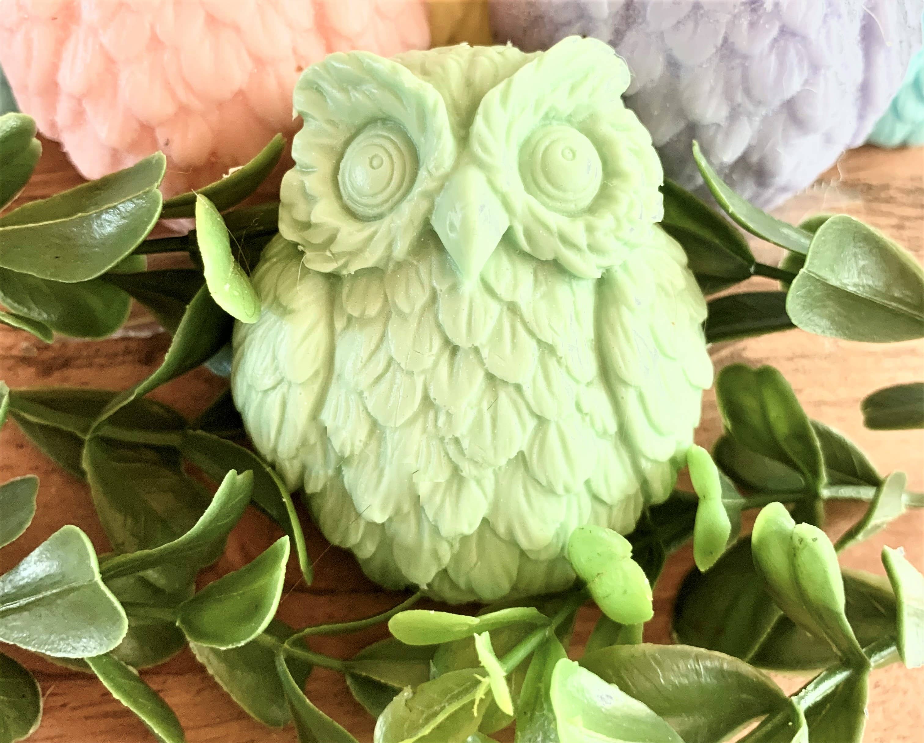 Plunk Soap and Candle Company – wholesale Bar Soap – Owl Soap: Bulk Soap, Guest Soap, Child Gift, Bath Soap0