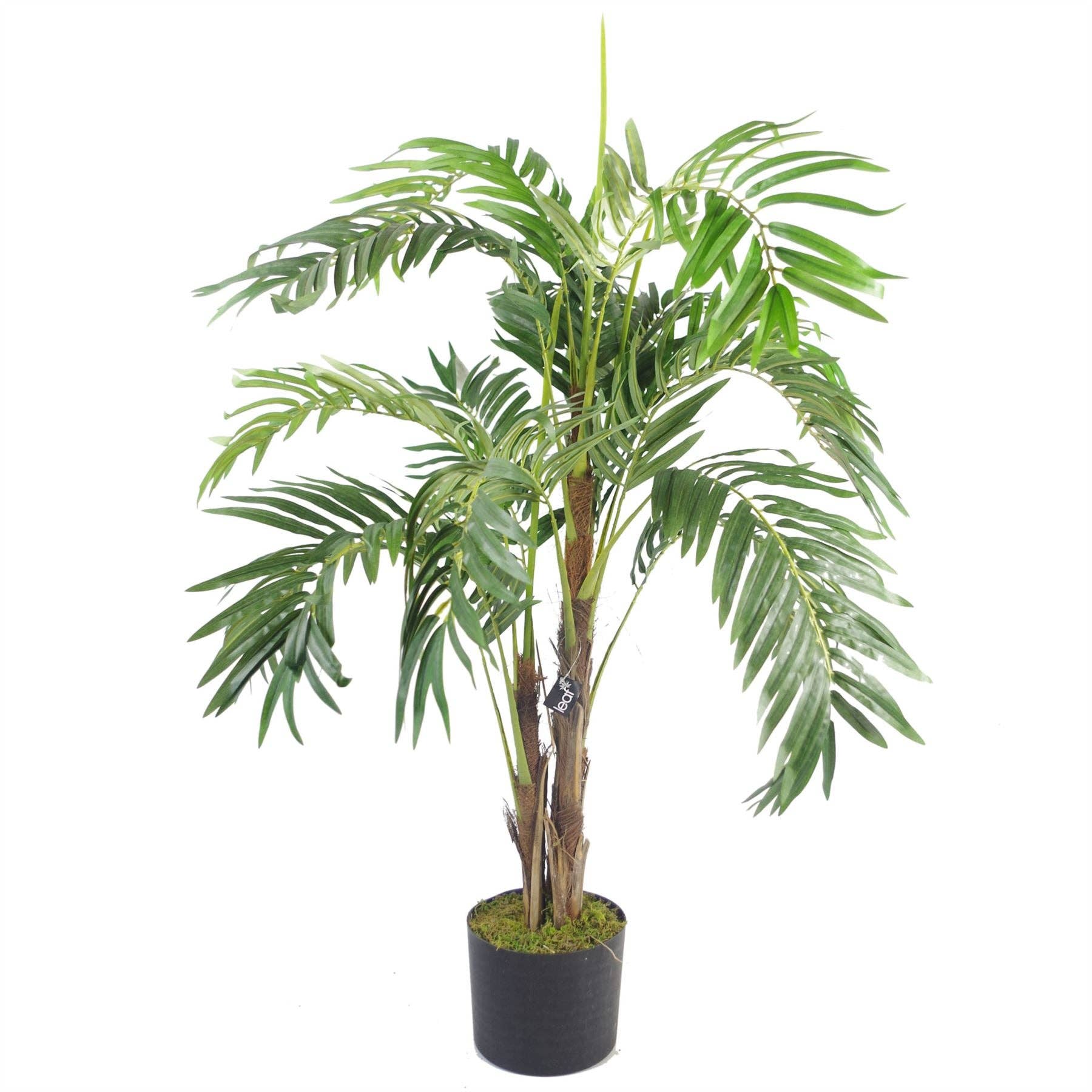 Leaf Design UK LTD – Engroshandel Kunstig plante – Stor Kunstig Palm Tree 120cm Luksus0