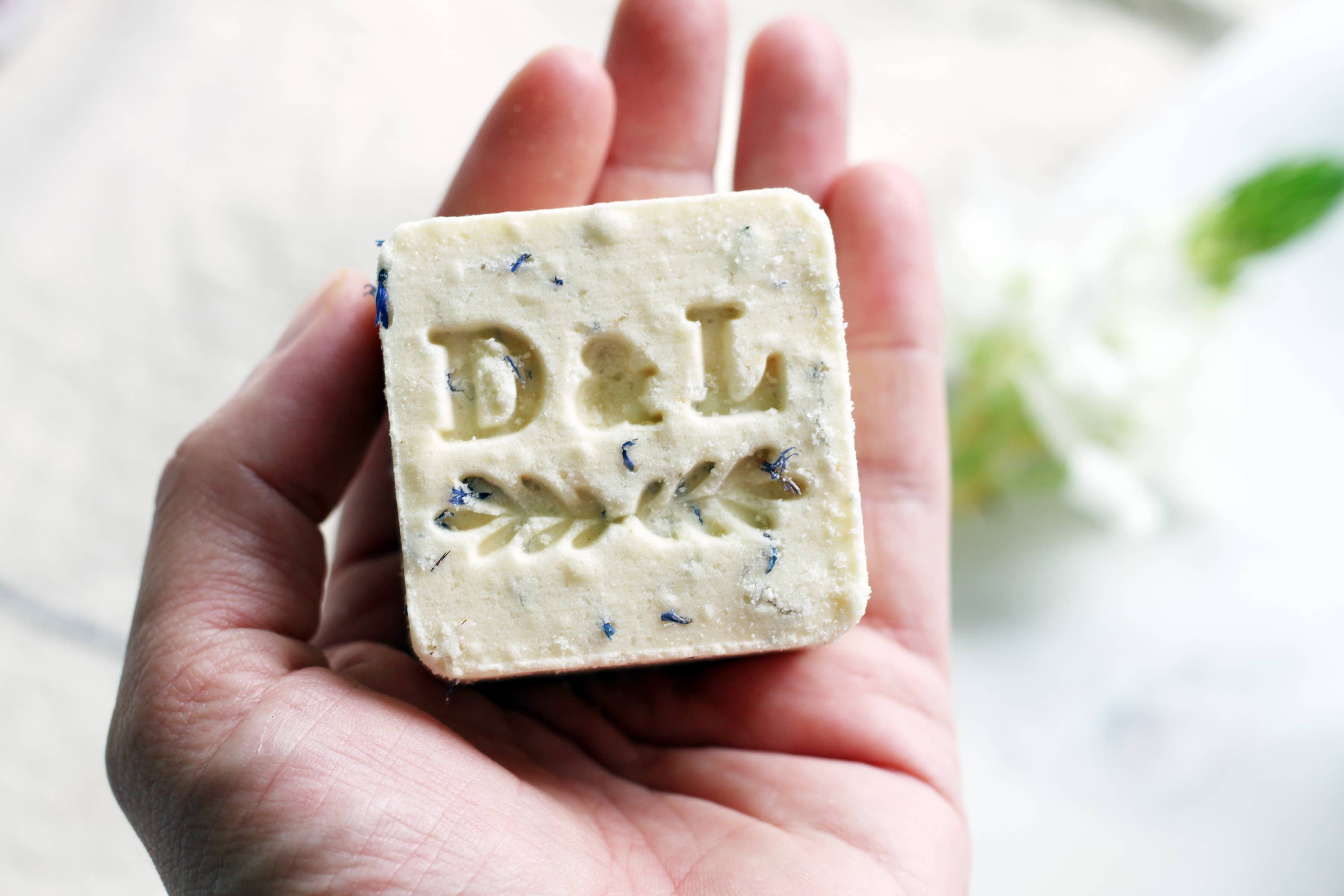 Dot & Lil - Vente Bombe de bain/poudre effervescente pour le bain - Cube de bain au lait mousseux au thé blanc et au gingembre2