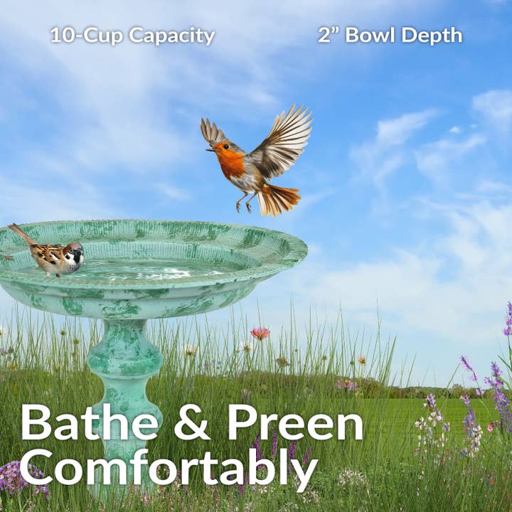 Sunnydaze Decor - Wholesale Bird Bath - Backyard Beauty Metal Bird Bath - Green Patina - 18"7