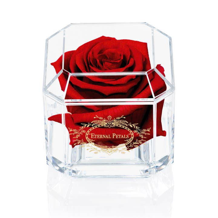 Véritable rose préservée qui dure des années - Gold Solo (Deep Red) pour la vente par Eternal Petals