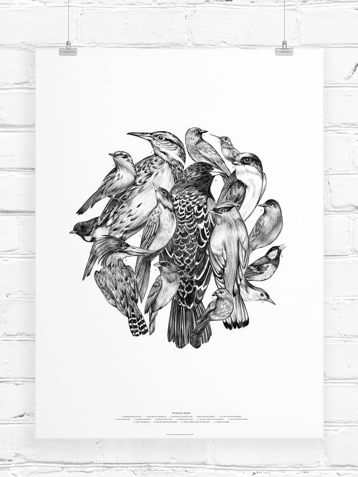 Bird Taxonomy for wholesale by LINNA