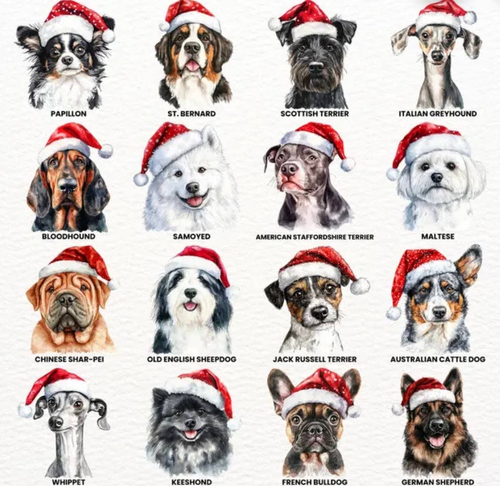 Cotton & Crate - Vente Coussin décoratif - Housse de Coussin pour Chien 45x45 cm4