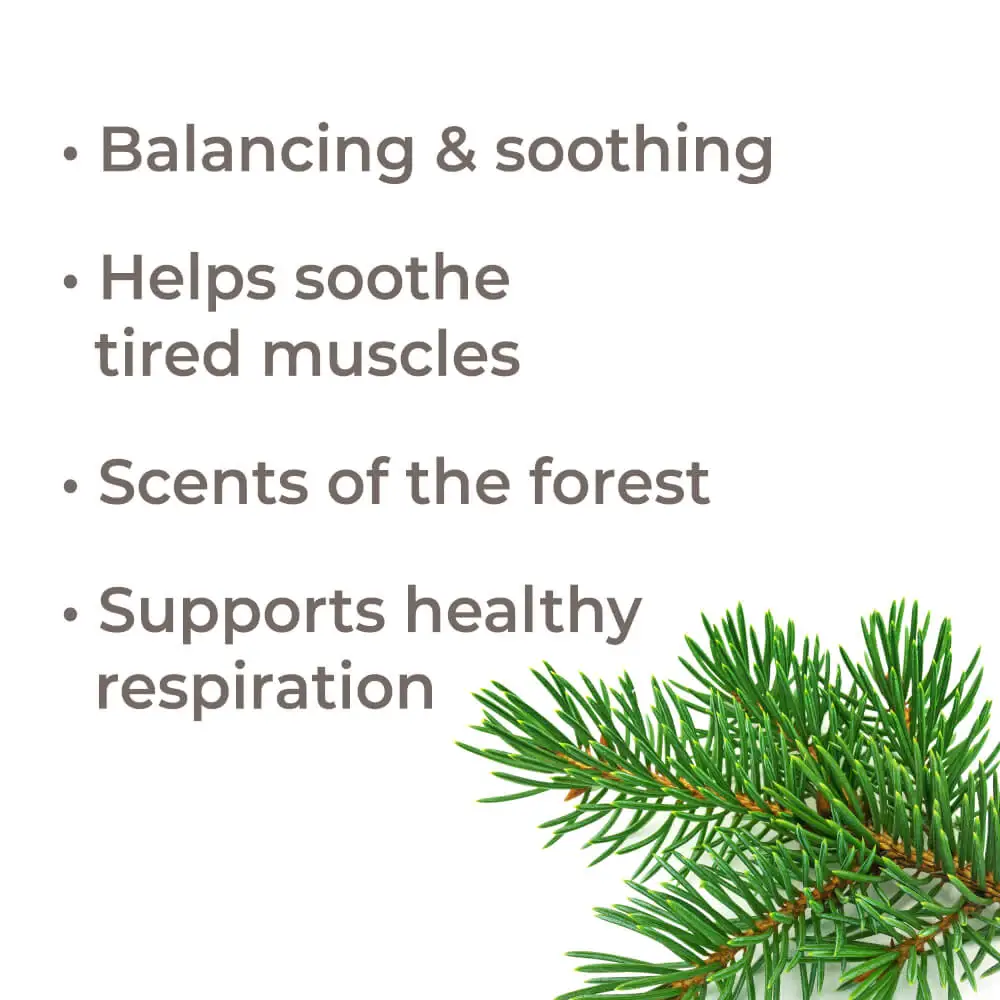 Plant Therapy - Wholesale Essential Oil - Balsam Fir Essential Oil 10mL4