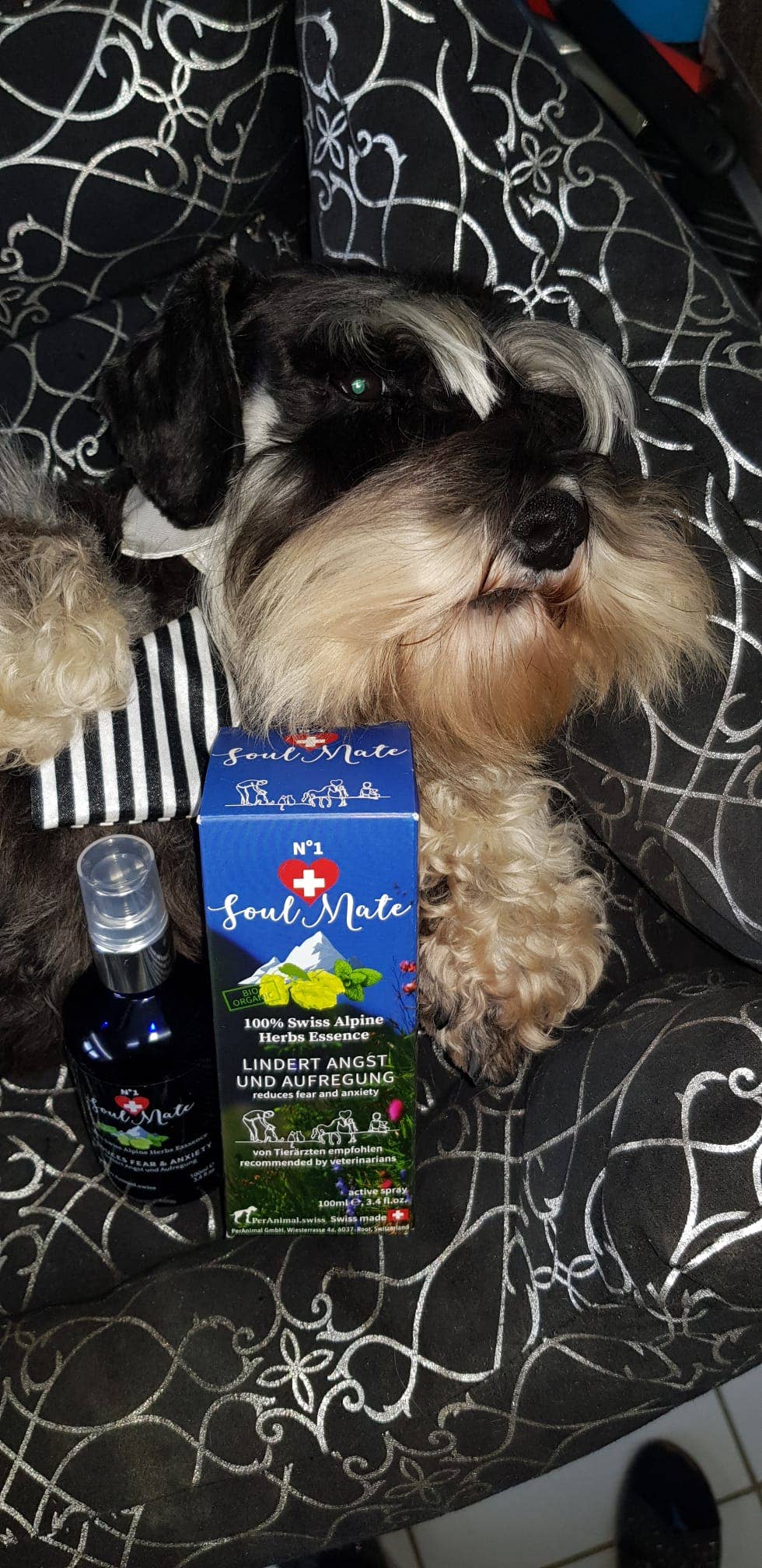 PerAnimal - Wholesale Pet Spray - Cat/Dog - SoulMate No.1 - Relaxation and Calming Spray7