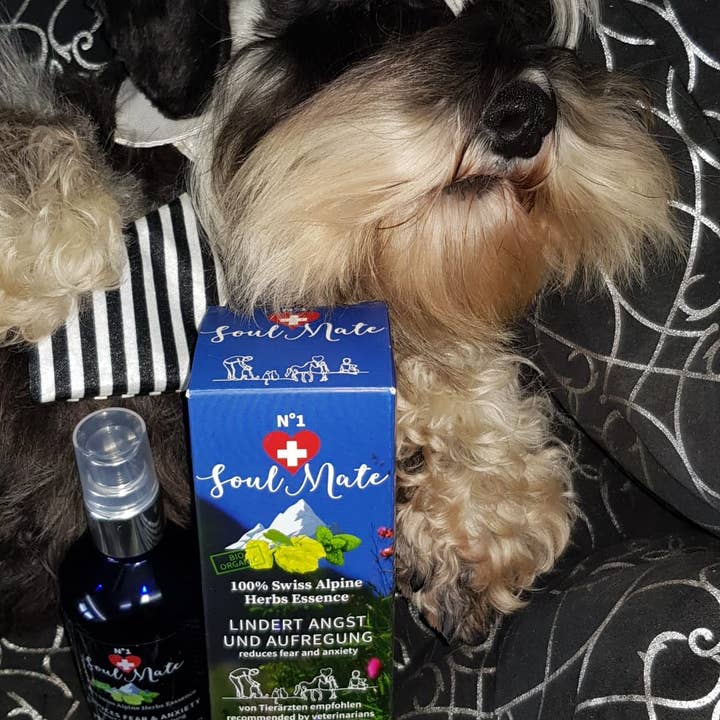 PerAnimal - Wholesale Pet Spray - Cat/Dog - SoulMate No.1 - Relaxation and Calming Spray7