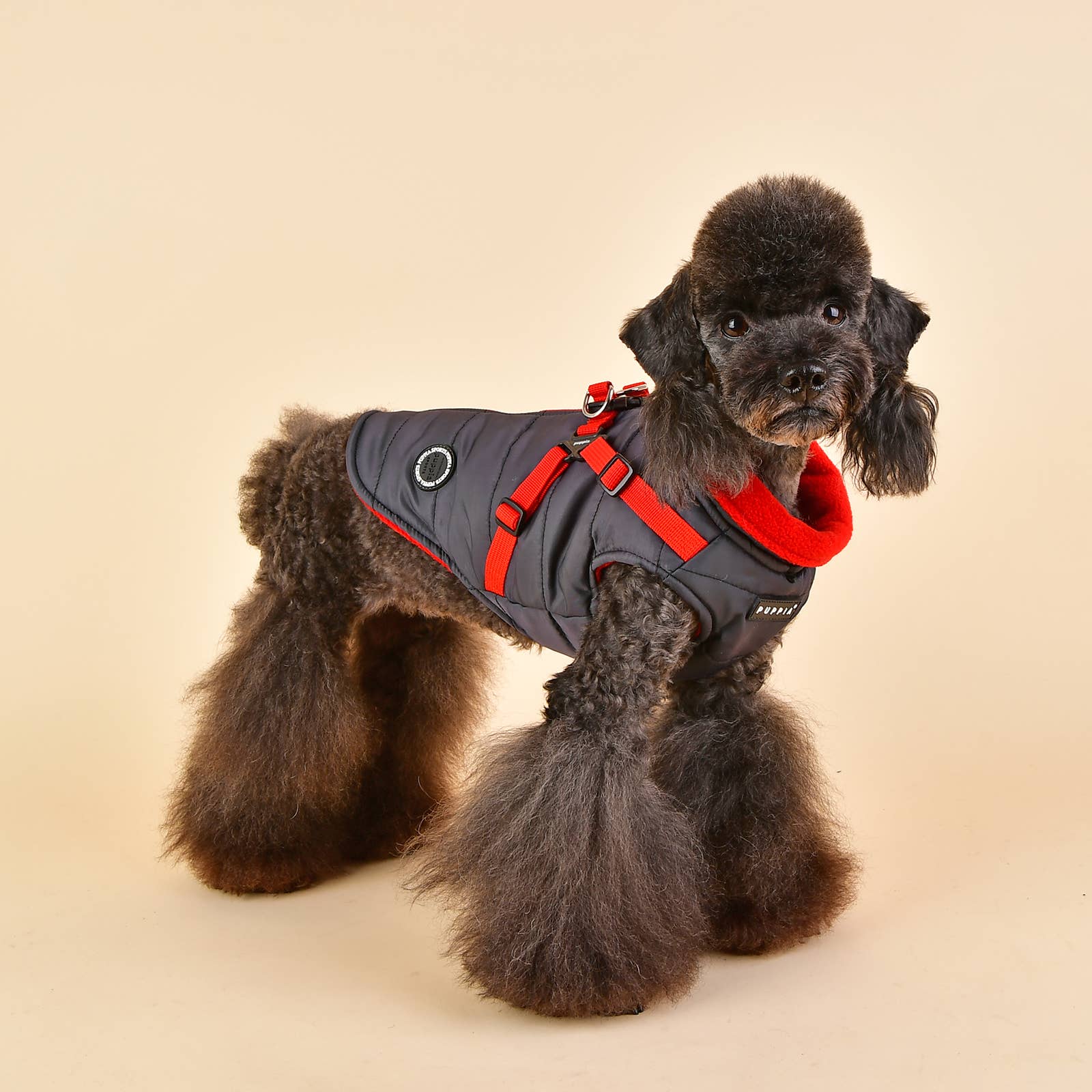 Puppia International Inc. - Wholesale Pet Coat - Dog - MOUNTAINEER II WINTER DOG COAT INTEGRATED HARNESS15