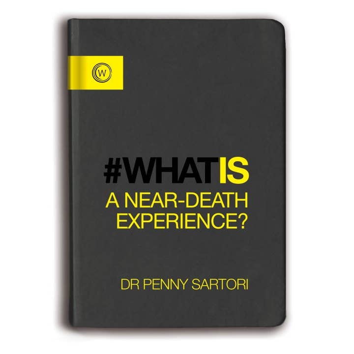 What is a Near Death Experience? for wholesale by Microcosm Publishing & Distribution