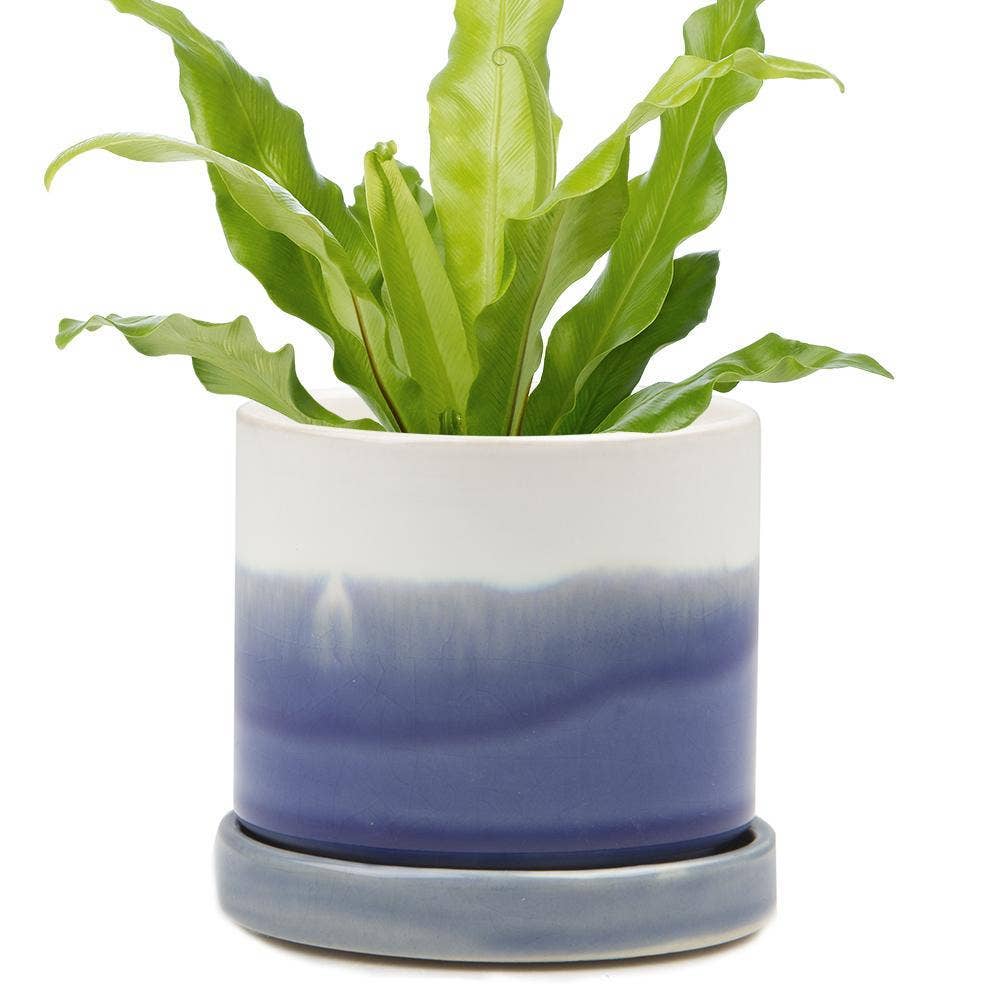 Chive UK - Wholesale Plant Pot - Minute - Glazed Modern Ceramic Pot with Saucer0