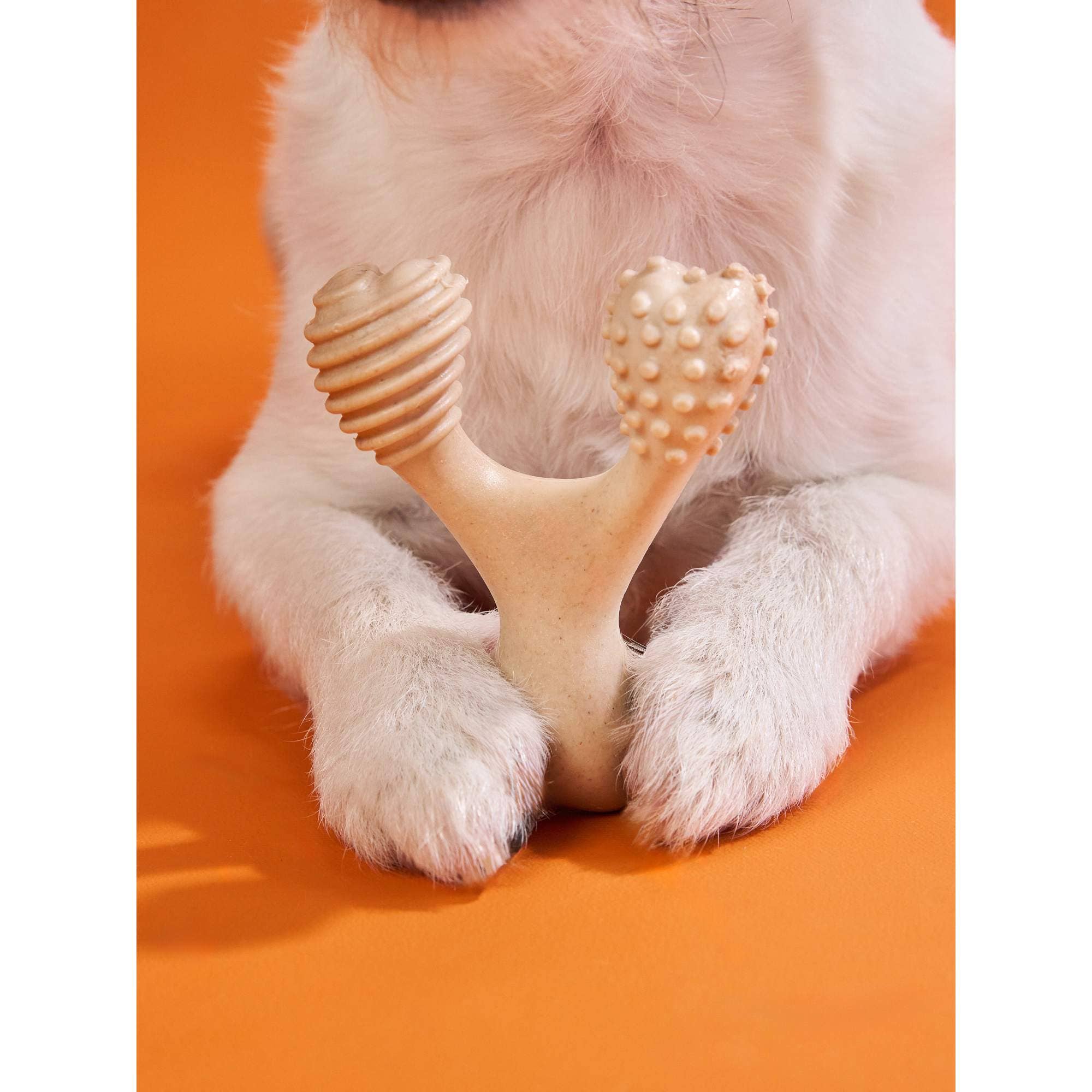 Naomi's Happy Place Shop - Wholesale Pet Chew Toy - Dog - BetterBone HARD CHEW TOY: Natural Ingredients, eco-friendly, and ultra-durable chew for the toughest chewers!15