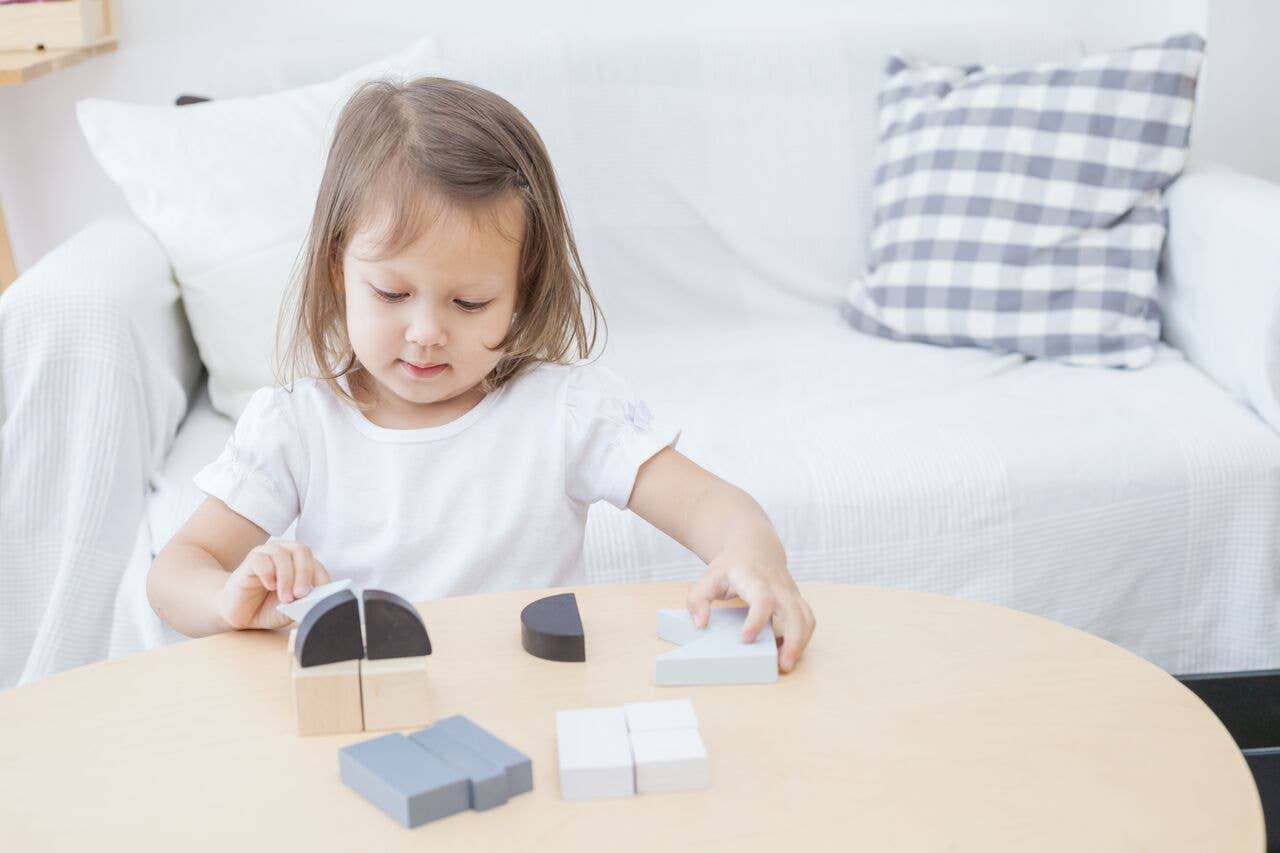 PlanToys - Wholesale Blocks - Kids Baby - Fraction Blocks1