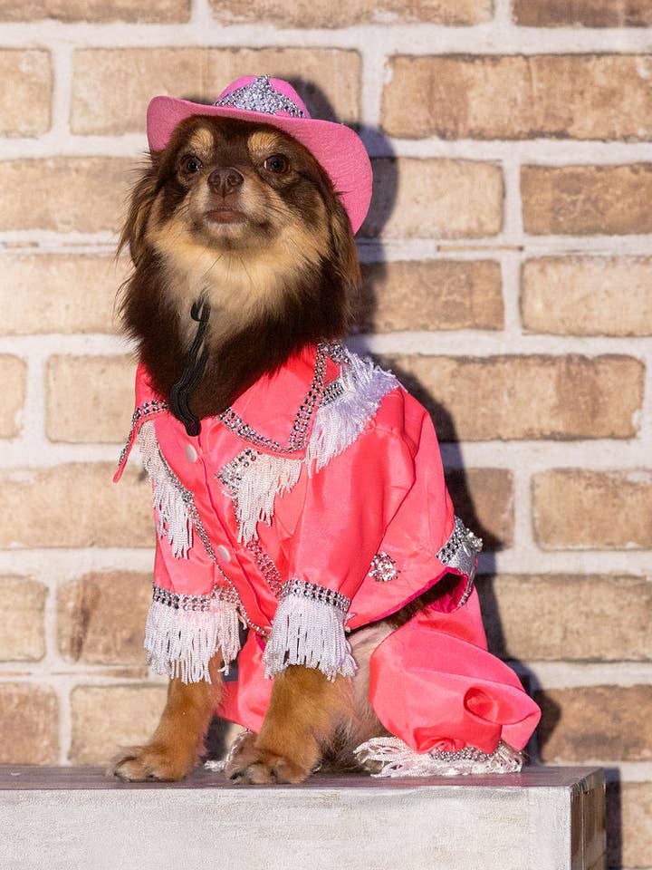 Norteña Outfit For Dog/ Cow girl Outfit For Dog for wholesale by Gueyita Mexicana