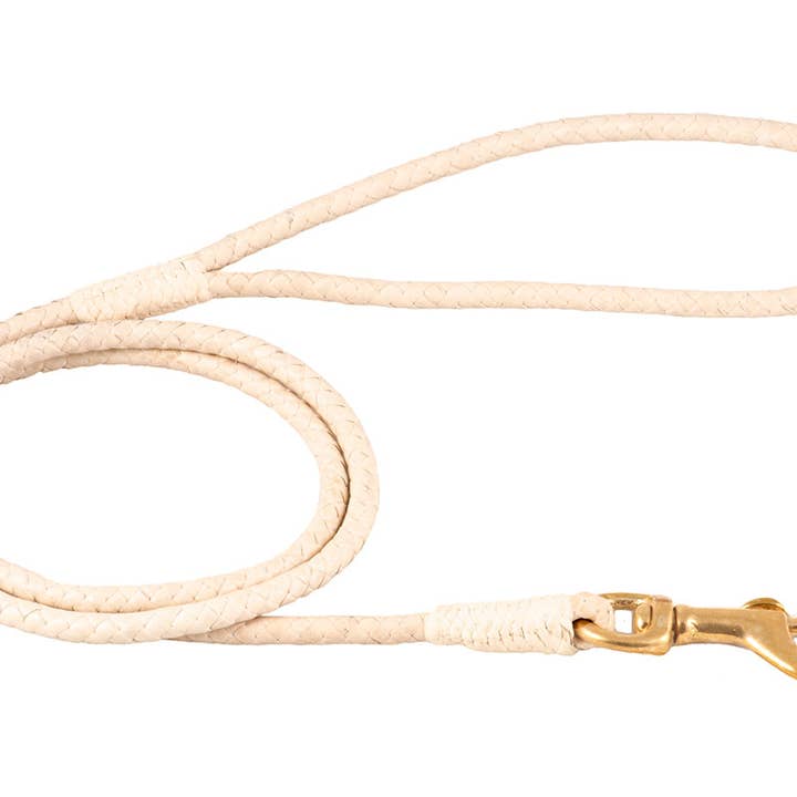 Alvalley - Wholesale Pet Leash - Dog - Braided Leather Snap Leads44