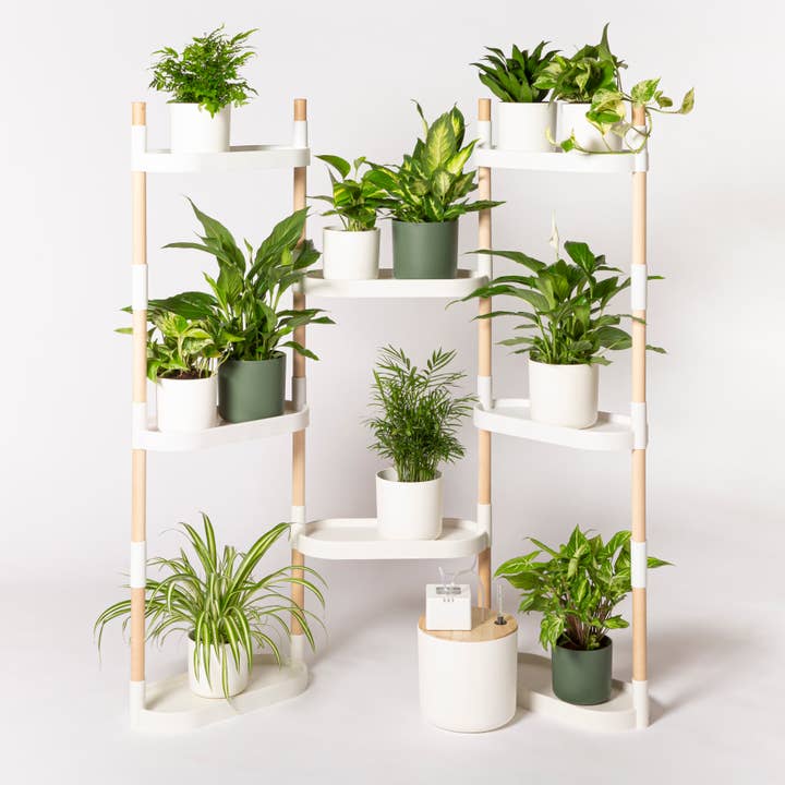 CitySens - Venta al por mayor Estante de pared - Estanterías modulares para plantas CitySens