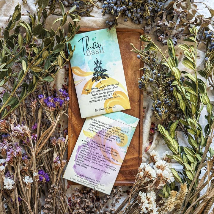 The Elevated Seed Co. - Wholesale Plant Seeds - Thai Basil Garden Seeds