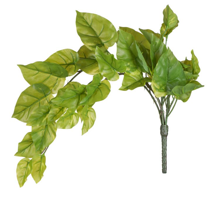 Vickerman Lot de 2 lianes Pothos vertes de 24 po pour la vente par Vickerman