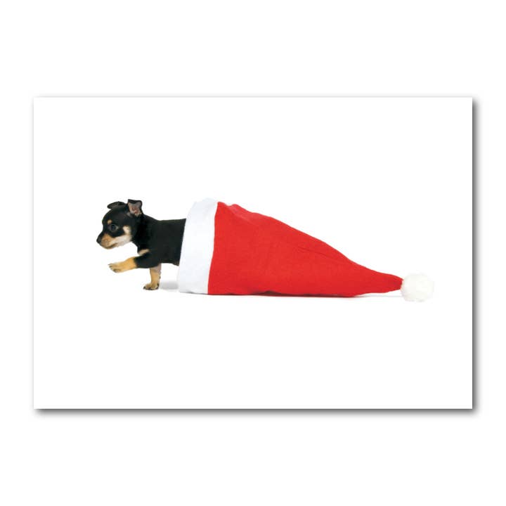 Carte postale paysage couleur DIN A6 MG1340 pour la vente par Gutrath Verlag