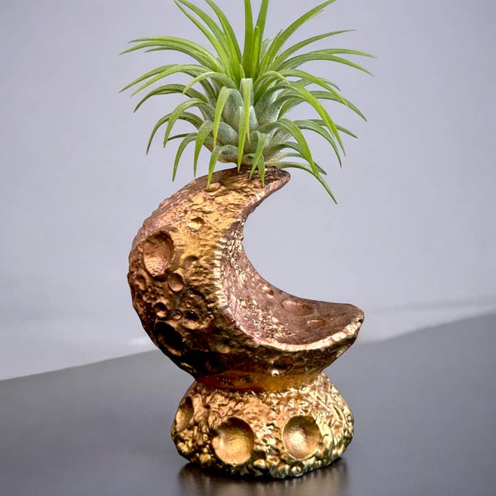 Planters Made in the USA – wholesale Plant pot – Moon Air Plant Holder, Celestial Planter Pot, Tillandsia