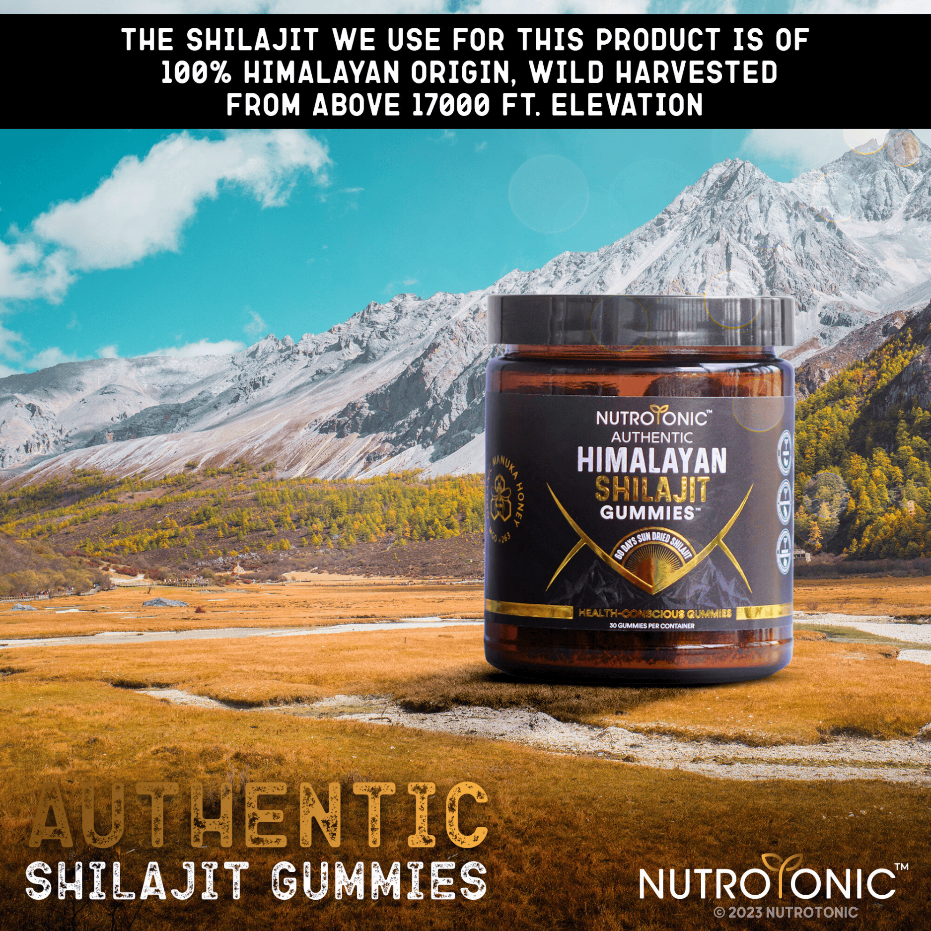 NutroTonic - Vendita all'ingrosso Vitamine/integratori orali - Autentiche Gomme di Shilajit Himalayano® Dolcificate con Miele di Manuka Biologico Aromatizzate con Olio di Arancia Rossa Biologico e Vaniglia Biologica7