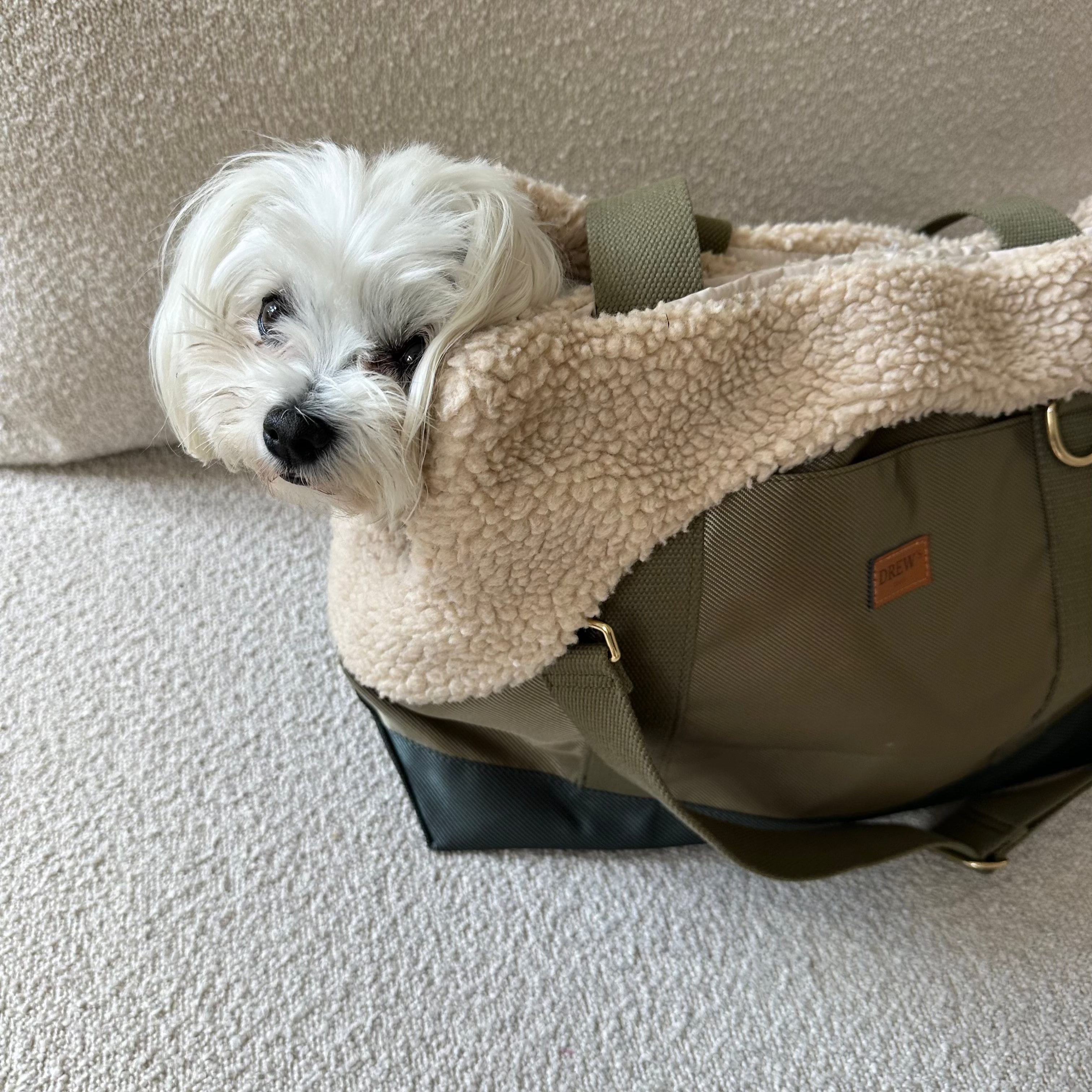 DrewsDogwear - Wholesale Pet Carrier - Dog - Olive // Sporty dog bag with soft inner lining in teddy fleece3