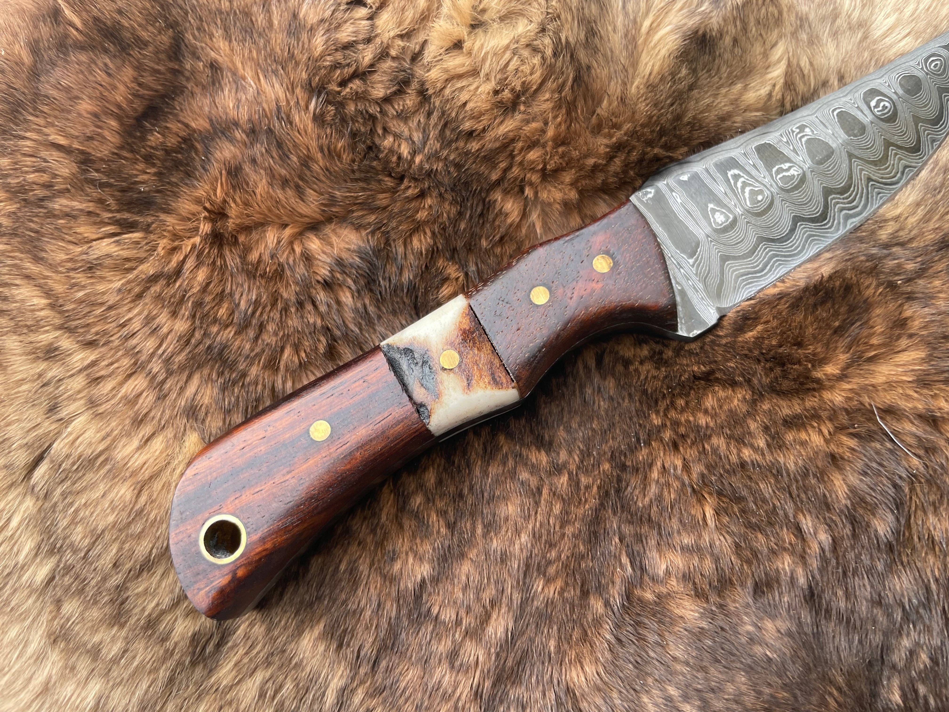 Titan International - Wholesale Pocket Knife/Holder - Introducing the Titan TK-060 Damascus Steel Skinner Knife with Rosewood & Stag Grip4