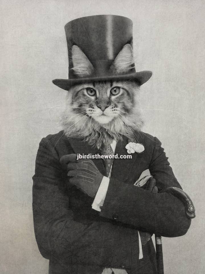 Cats in Suits Dressed up Cat Art Anthropomorphic Prints for wholesale by The Wild Oddisorium