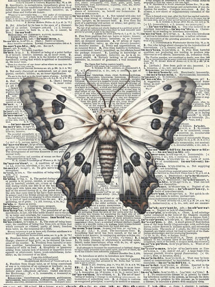 Moth, dark, nature, Halloween, Vintage Dictionary Prints for wholesale by Crazilyhumbledesigns